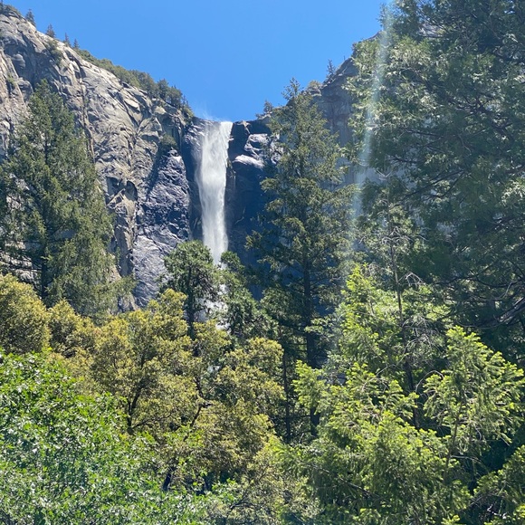 Meet your Posher, Kim - Picture 2 of 2